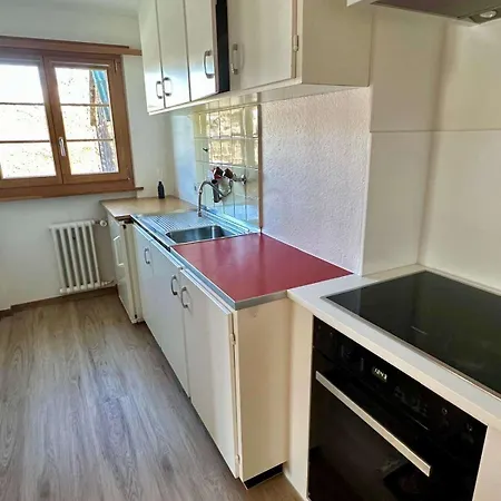 Swiss Peaks Haven With Unparalleled Views Γκστάαντ